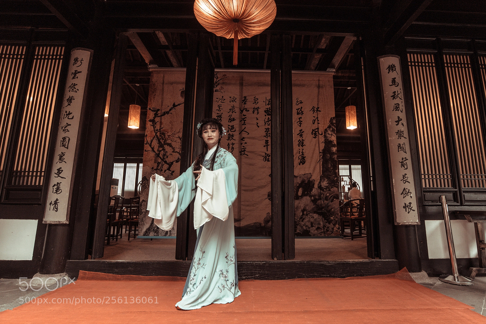 Nikon D750 sample photo. 越剧 photography