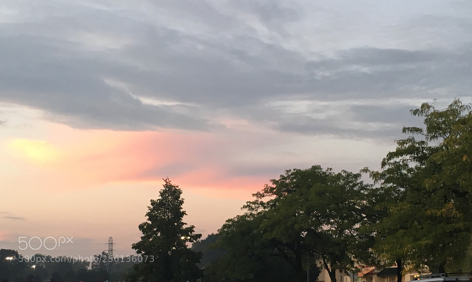 Apple iPhone 6s sample photo. Untitled photography