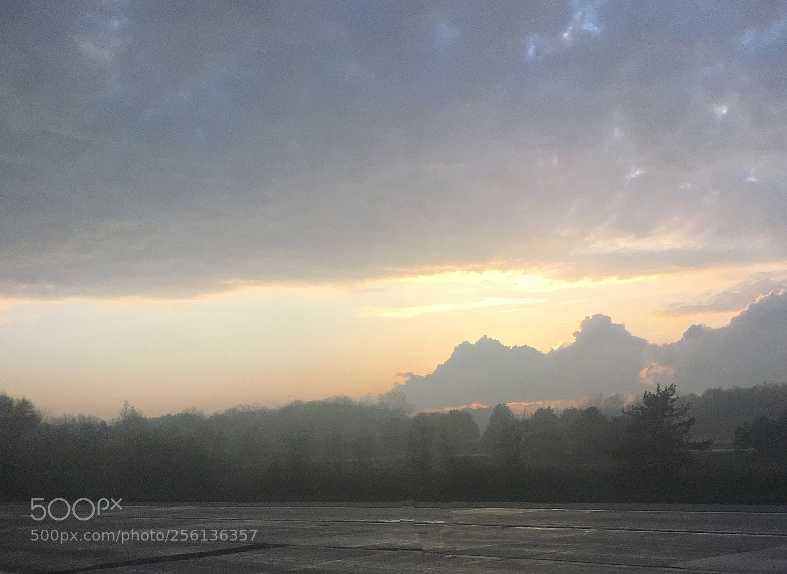 Apple iPhone 6s sample photo. Untitled photography
