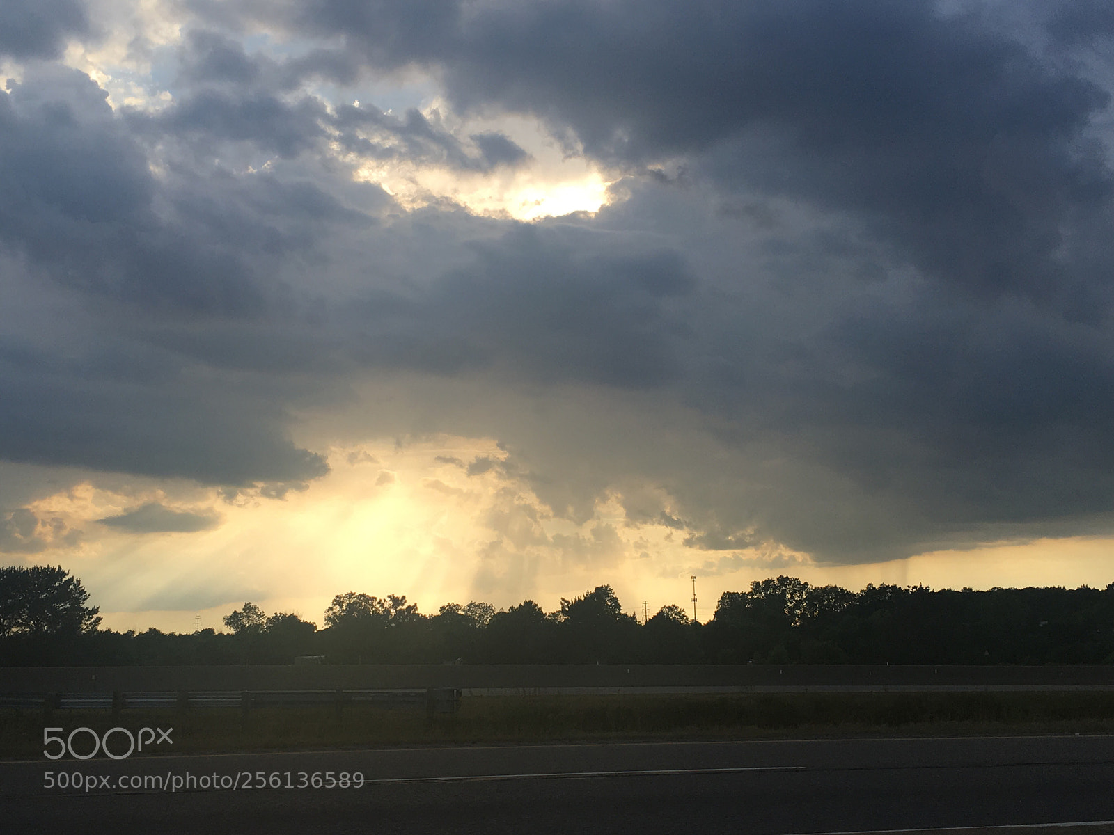 Apple iPhone 6s sample photo. Untitled photography