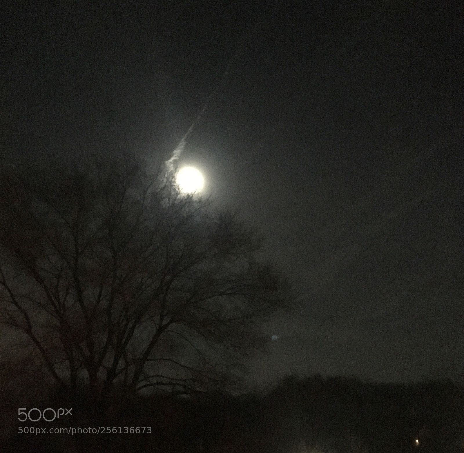 Apple iPhone 6s sample photo. Untitled photography