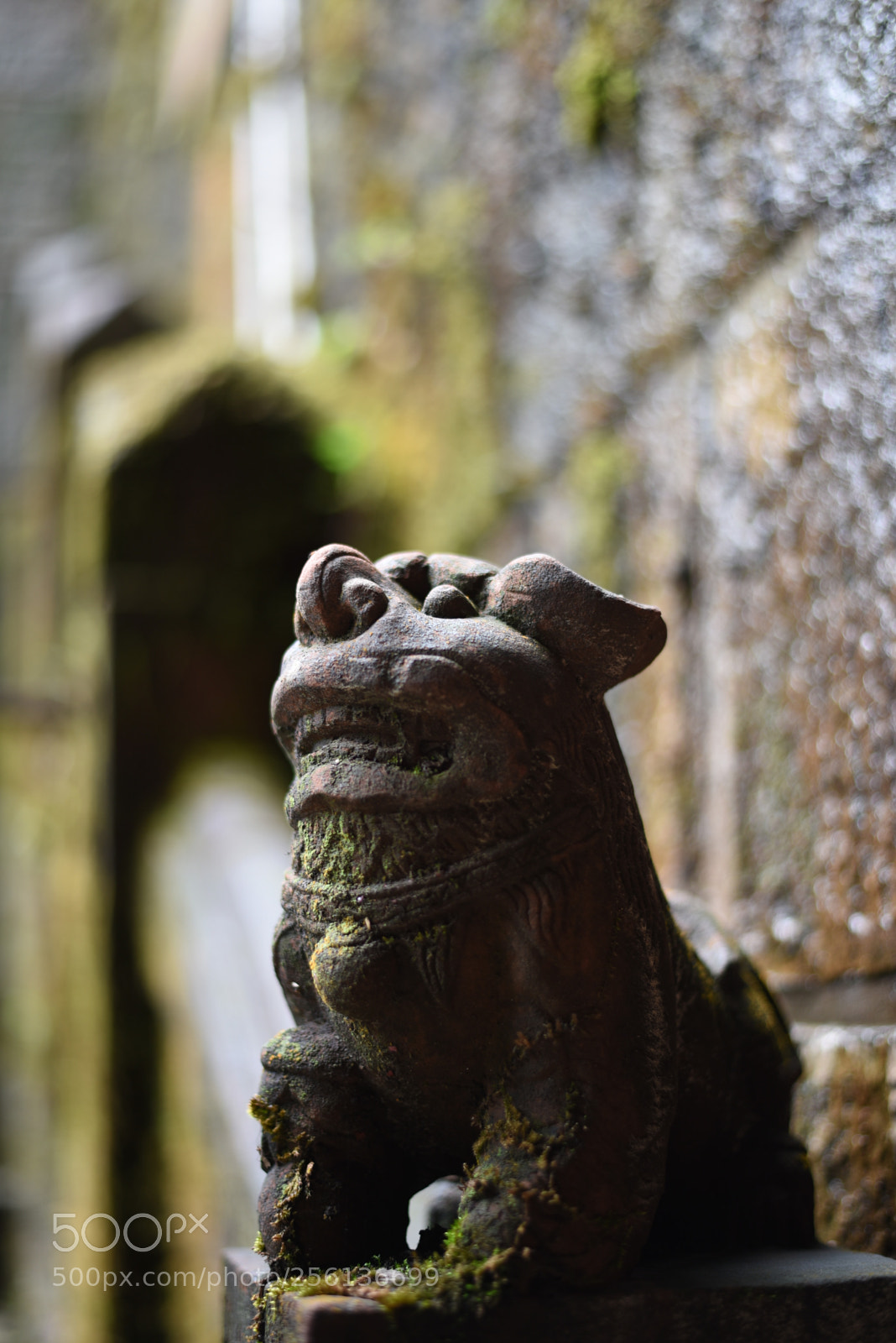 Nikon D750 + Nikon AF-S Nikkor 50mm F1.8G sample photo. Dsc photography