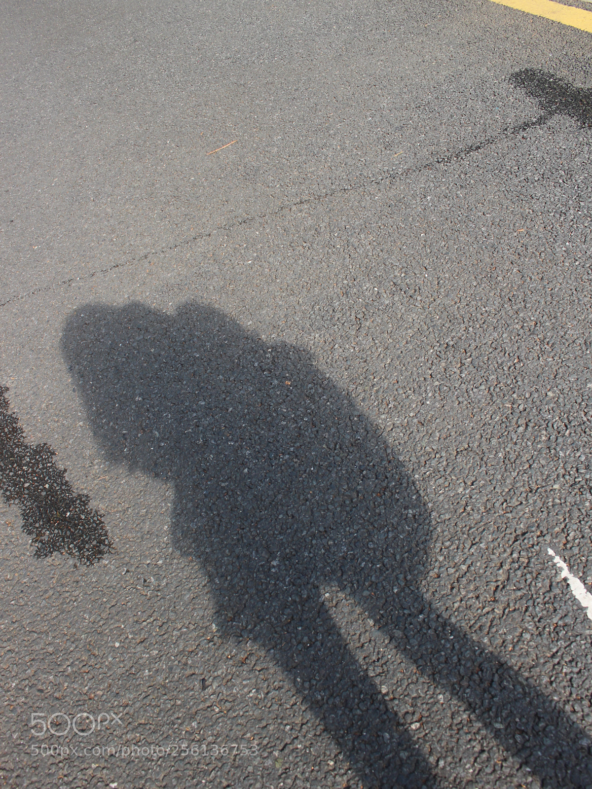 Canon EOS 700D (EOS Rebel T5i / EOS Kiss X7i) sample photo. Untitled photography