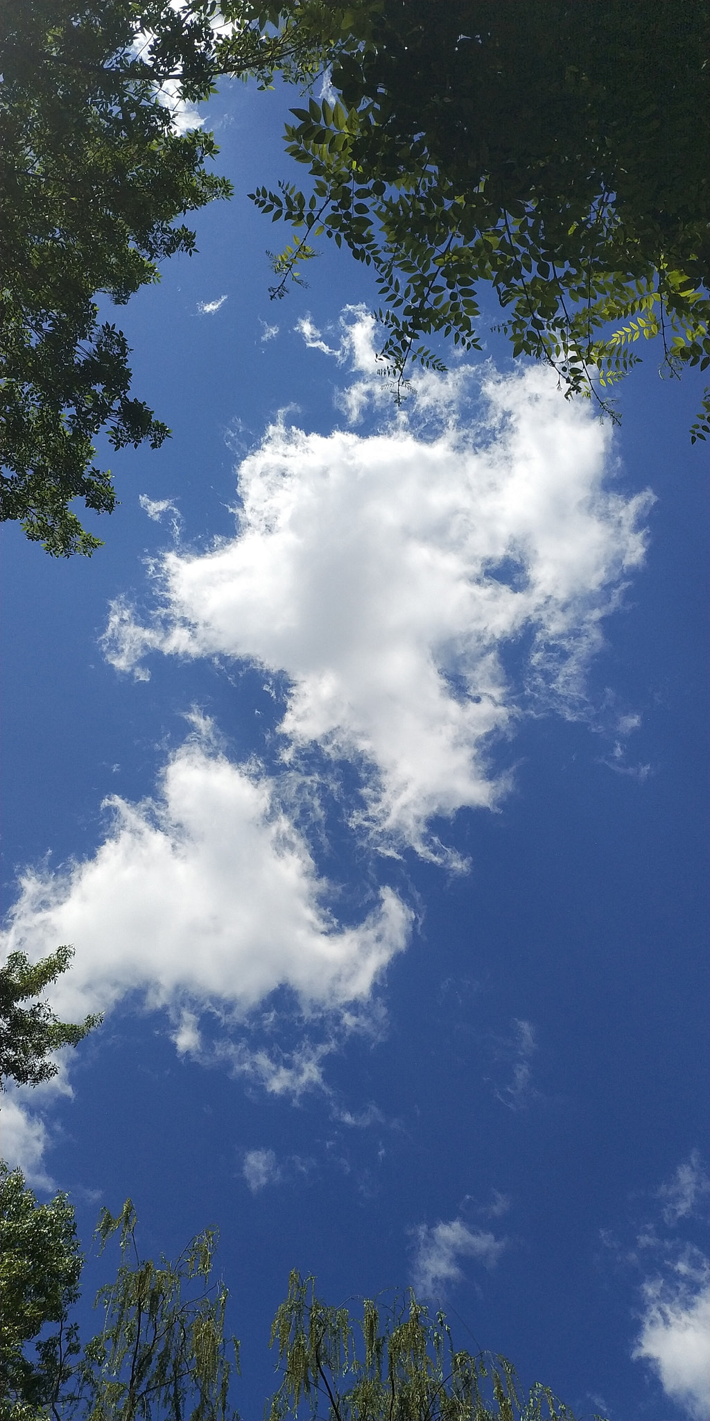 Xiaomi MIX 2 sample photo. Sky! photography