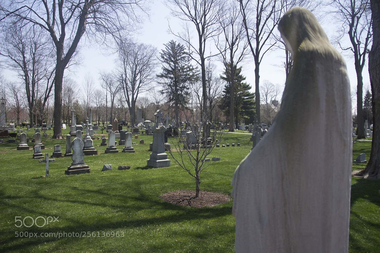 Canon EOS 1200D (EOS Rebel T5 / EOS Kiss X70 / EOS Hi) sample photo. Ghostly statue at the photography