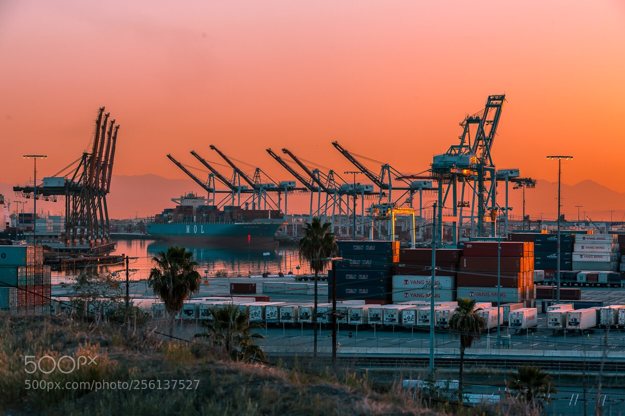 Canon EOS 5D Mark II sample photo. Long beach at dawn, 2018.   photography