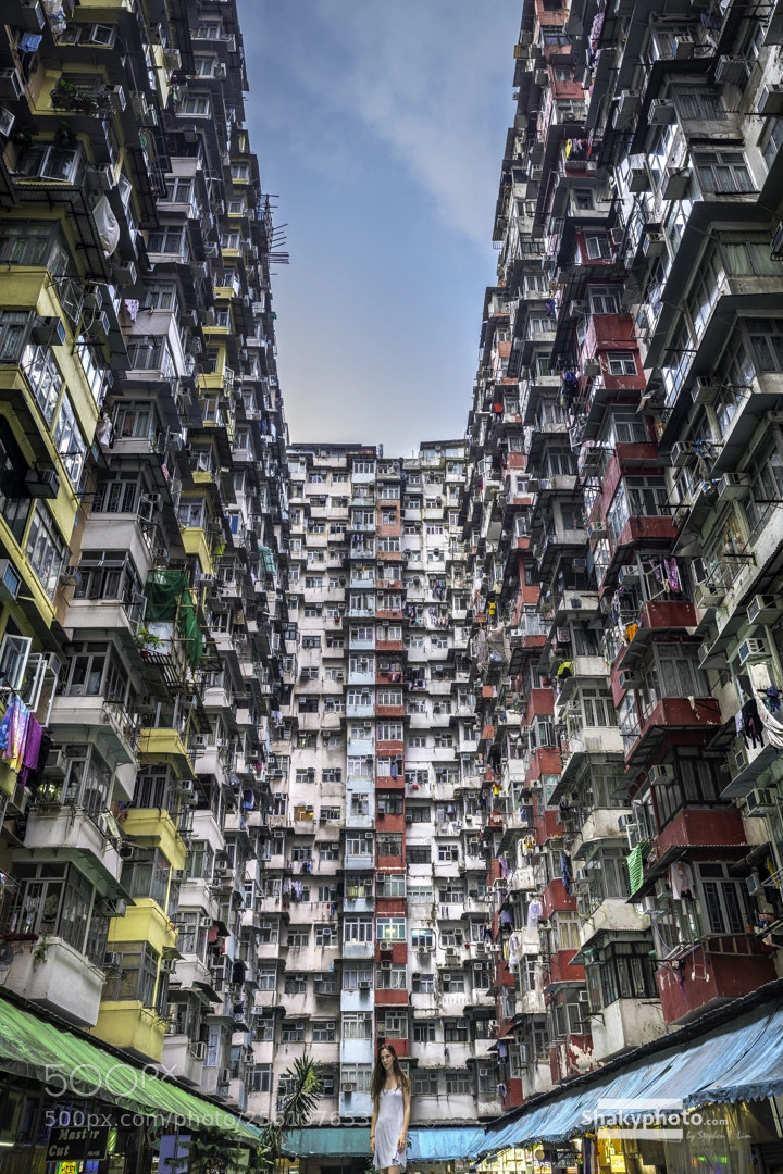 Sony a7R III sample photo. Qb photography