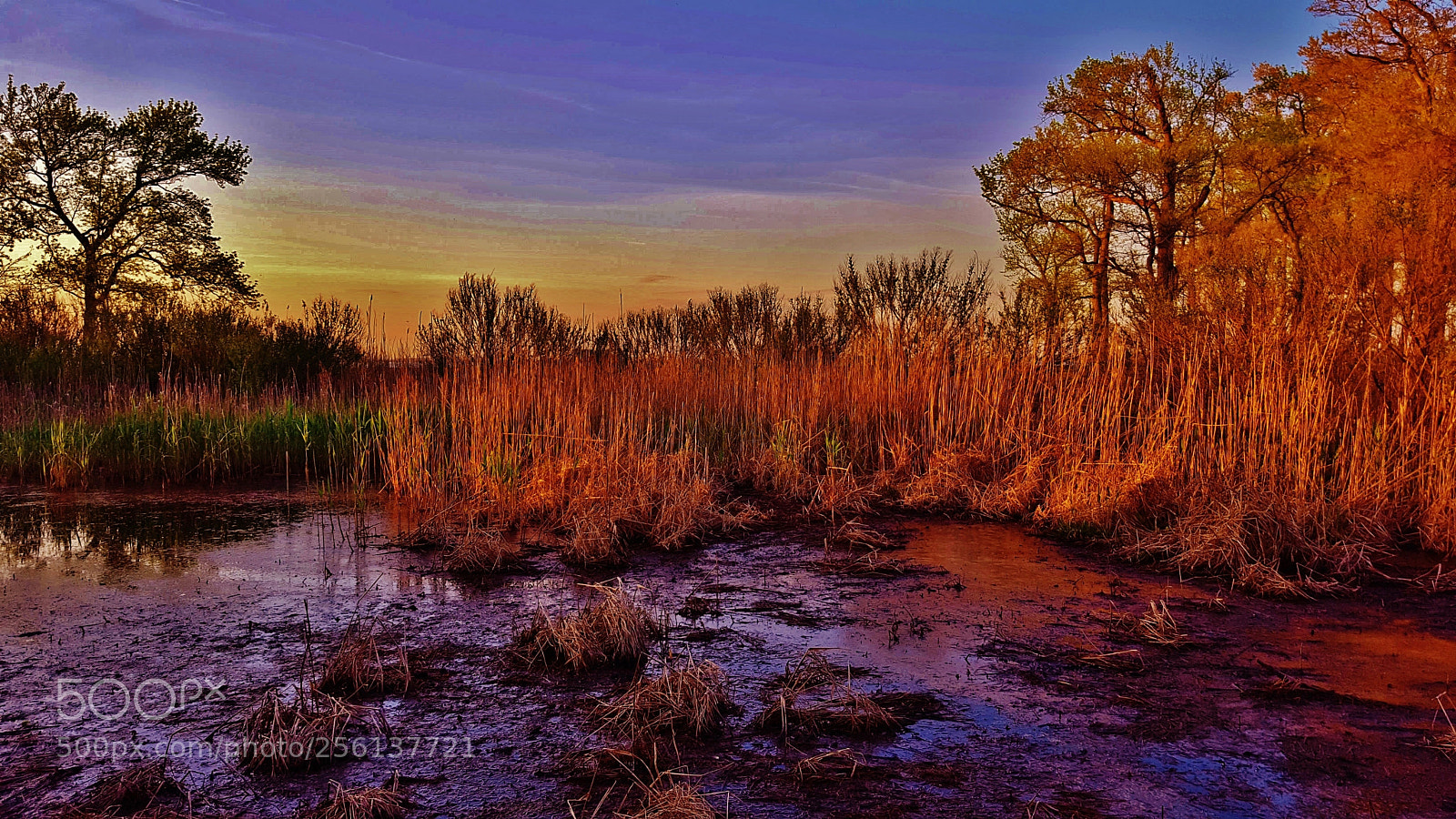 Samsung Galaxy S6 sample photo. Fort smallwood marsh 2018 photography