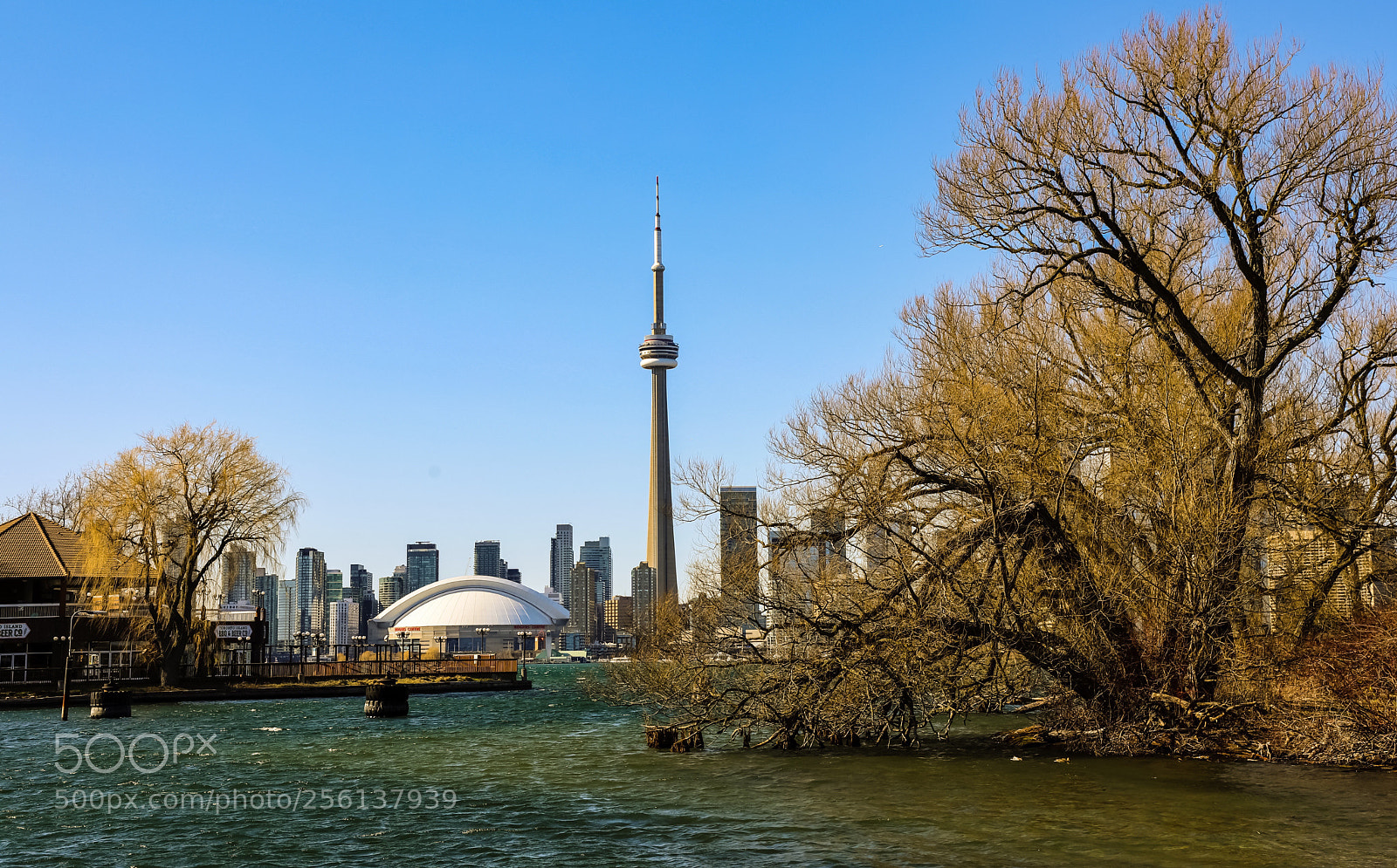 Canon EOS 5D Mark IV sample photo. Centre island photography