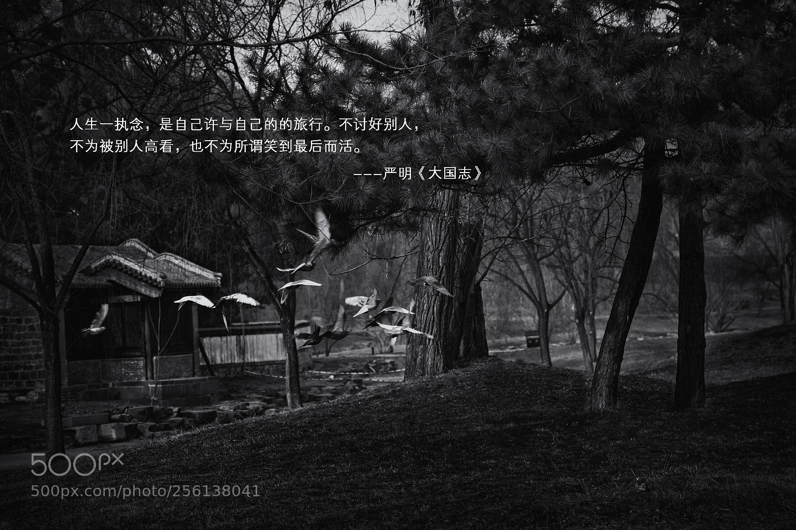 Canon EOS 6D sample photo. 逆风飞翔 photography