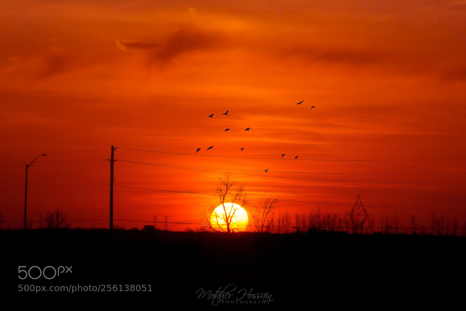 Canon EOS 700D (EOS Rebel T5i / EOS Kiss X7i) sample photo. Sunset photography