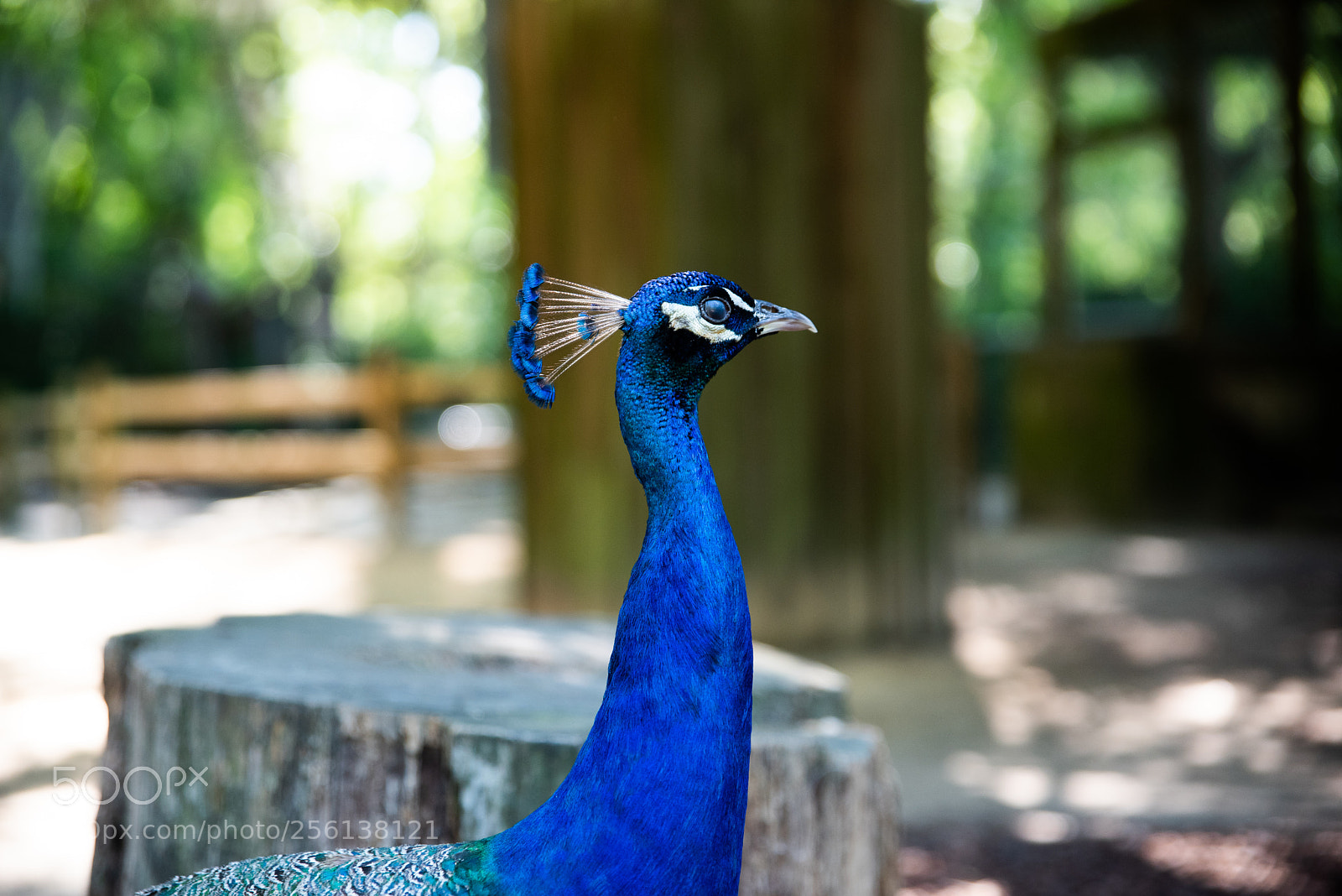 Nikon D750 sample photo. Untitled photography