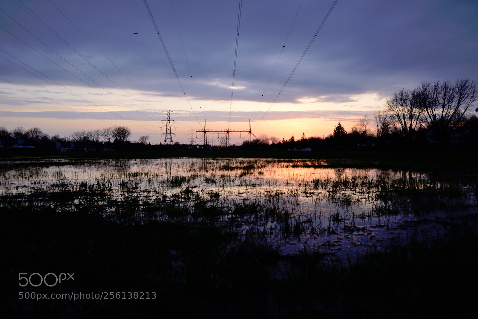 Nikon D600 sample photo. Untitled photography