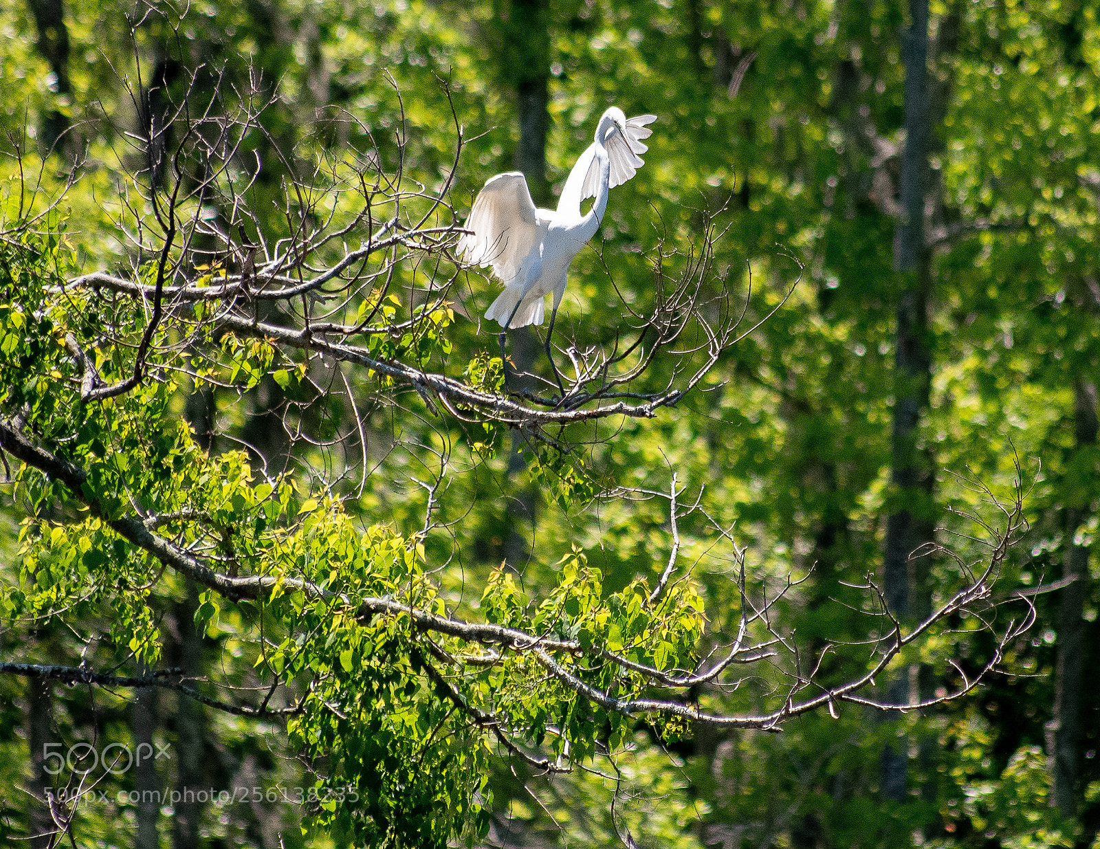 Nikon D750 sample photo. Untitled photography