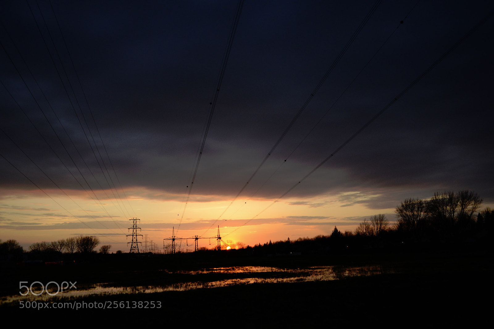 Nikon D600 sample photo. Untitled photography
