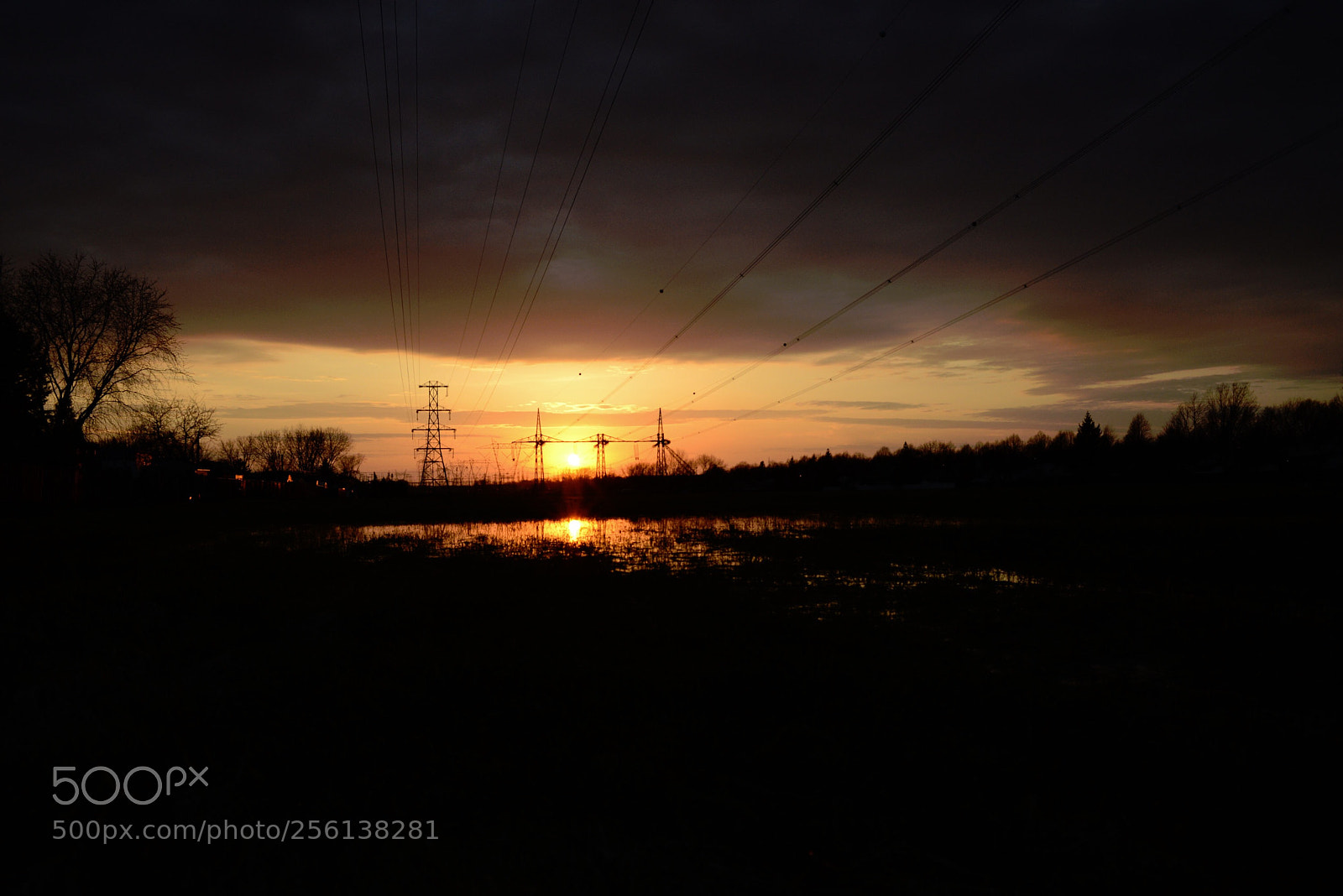 Nikon D600 sample photo. Untitled photography