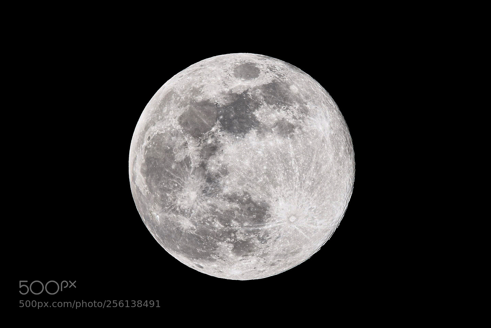 Nikon D5300 sample photo. April moon photography
