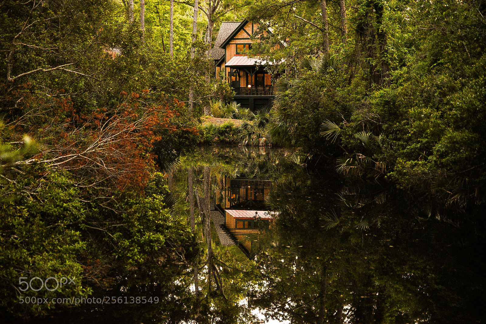 Nikon D750 sample photo. Untitled photography