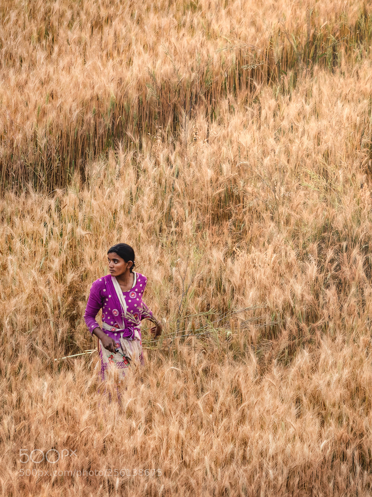 Olympus OM-D E-M5 II sample photo. Colourful nepali girl in photography