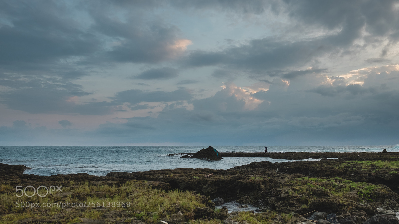 Fujifilm X-T10 sample photo. Fishing for dinner photography