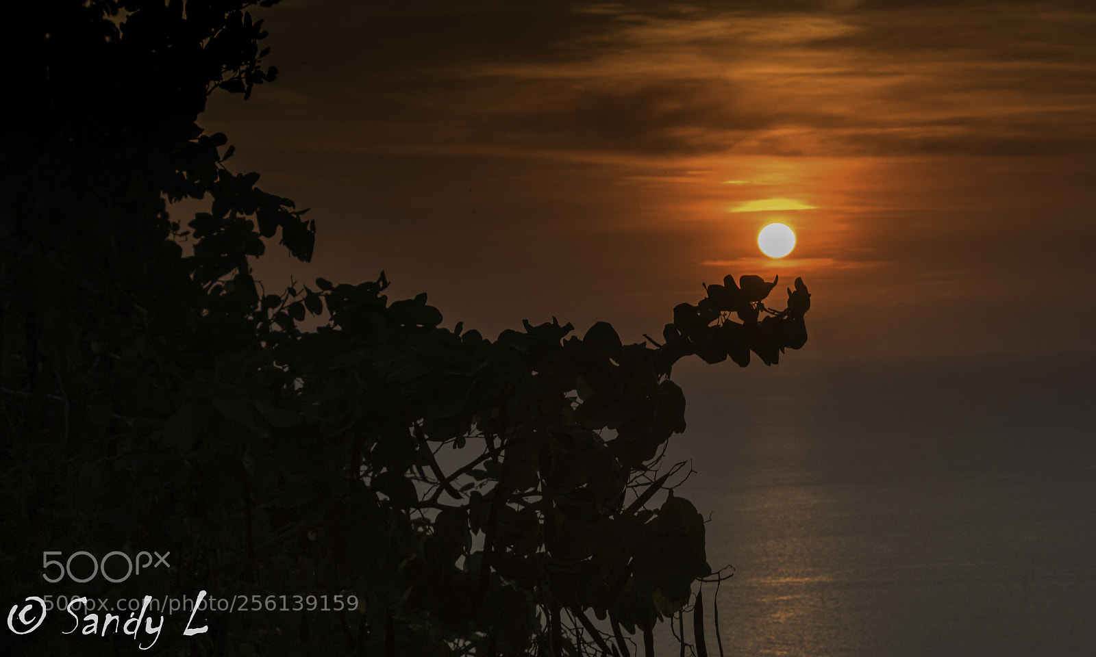 Canon EOS 600D (Rebel EOS T3i / EOS Kiss X5) sample photo. Magical sunset photography