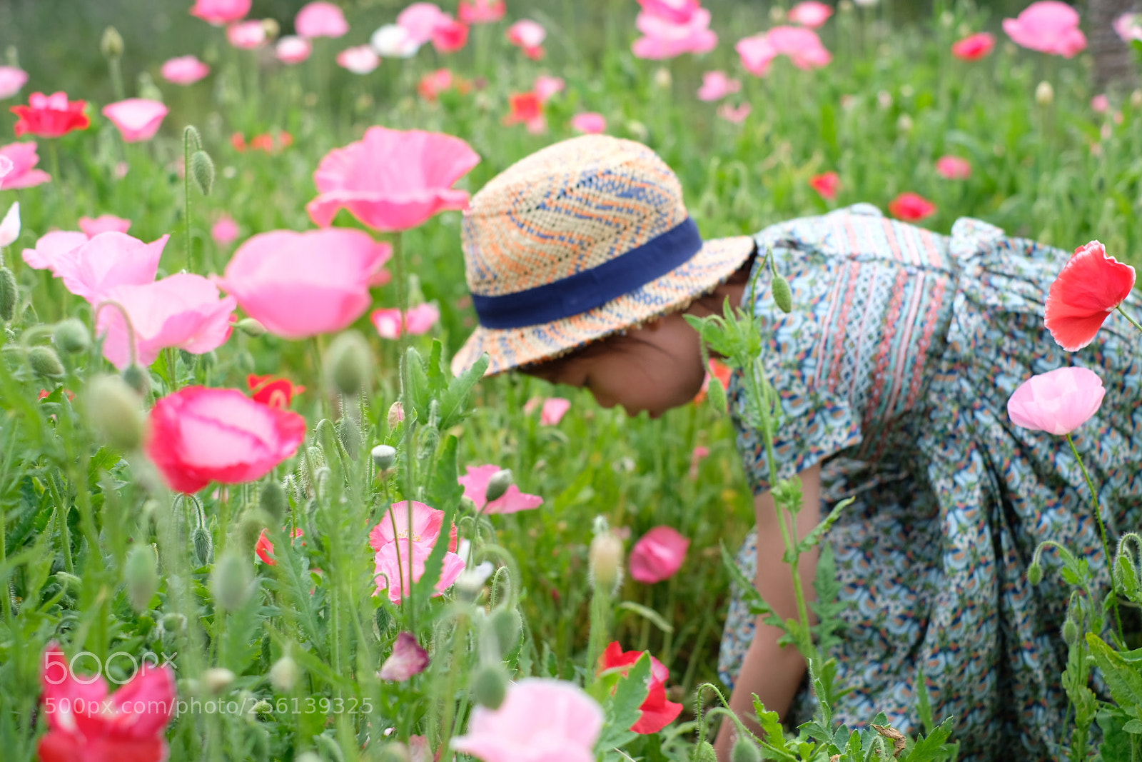 Fujifilm X-T20 sample photo. Girl in flower photography