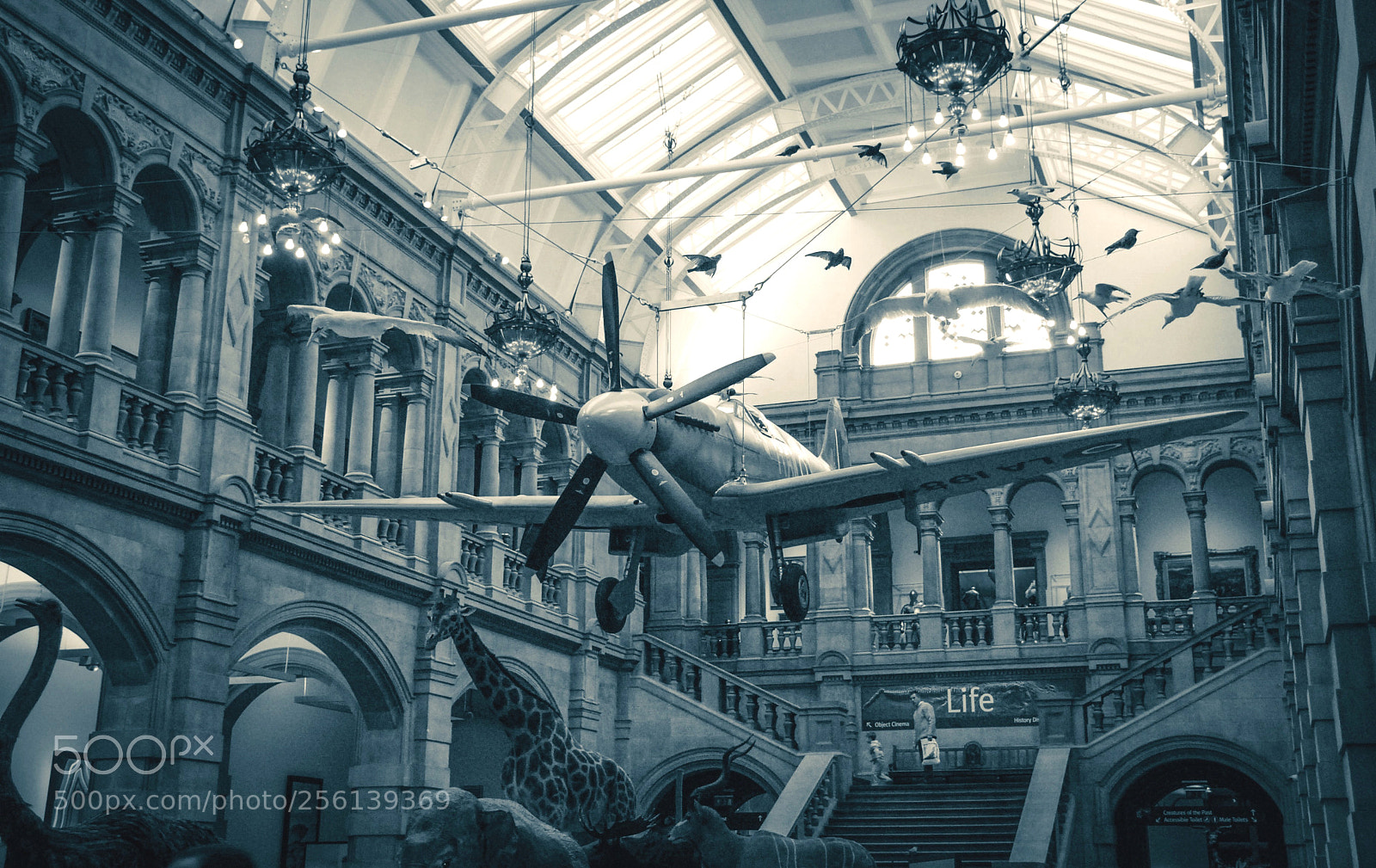 Nikon D80 sample photo. Kelvingrove spitfire photography