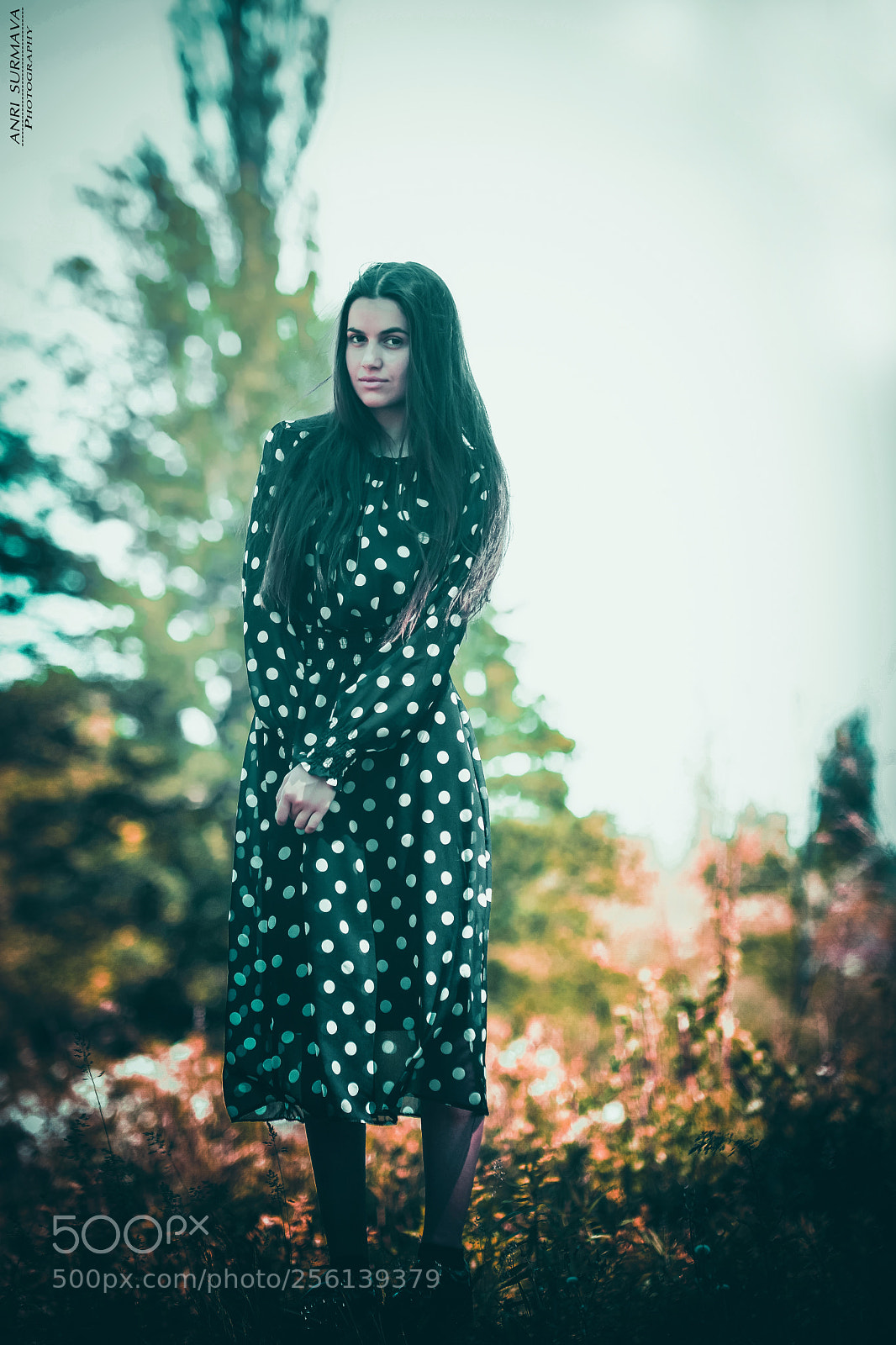 Nikon D7100 sample photo. Untitled photography
