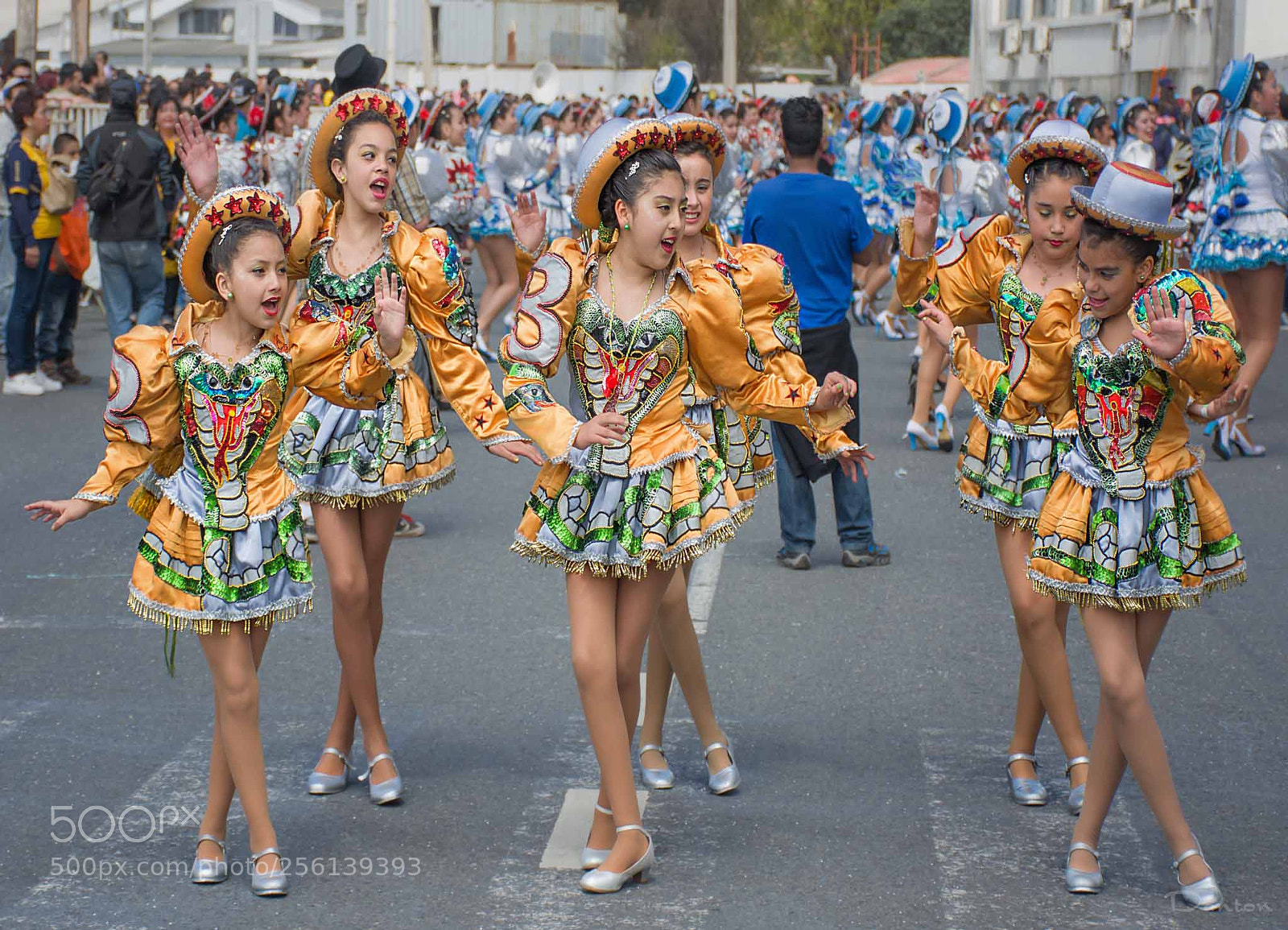 Nikon D7100 sample photo. Comparsa ii photography