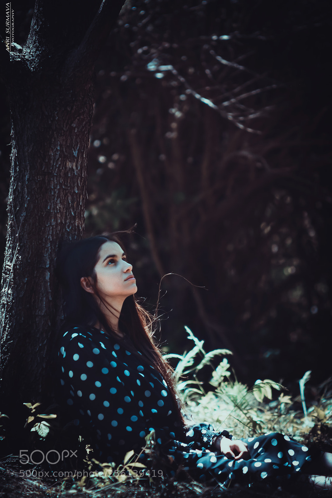 Nikon D7100 sample photo. Untitled photography