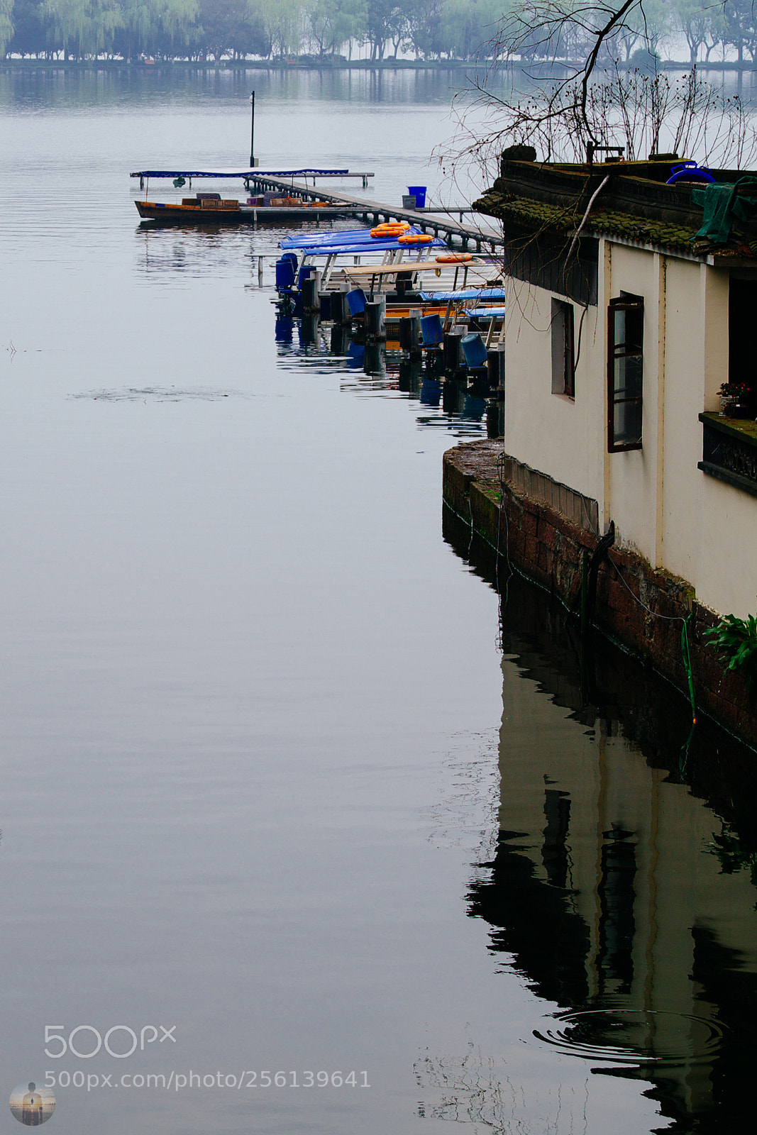 Pentax K-S2 sample photo. Imgp4890-2.jpg photography