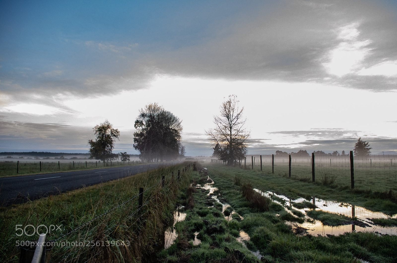 Pentax K-50 sample photo. Rural roadside attraction photography