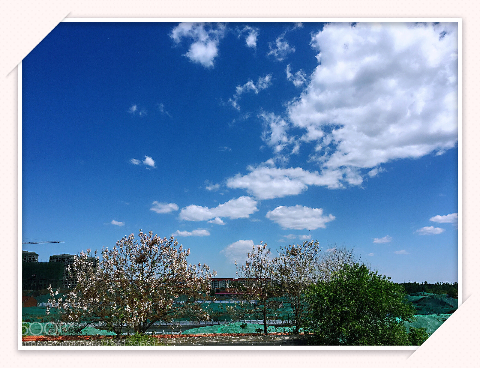 Apple iPhone 6 sample photo. Untitled photography