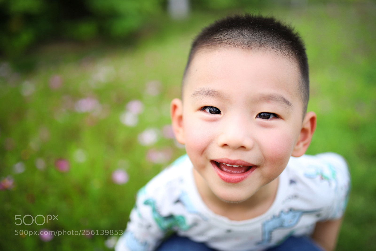 Canon EOS 6D Mark II sample photo. Untitled photography