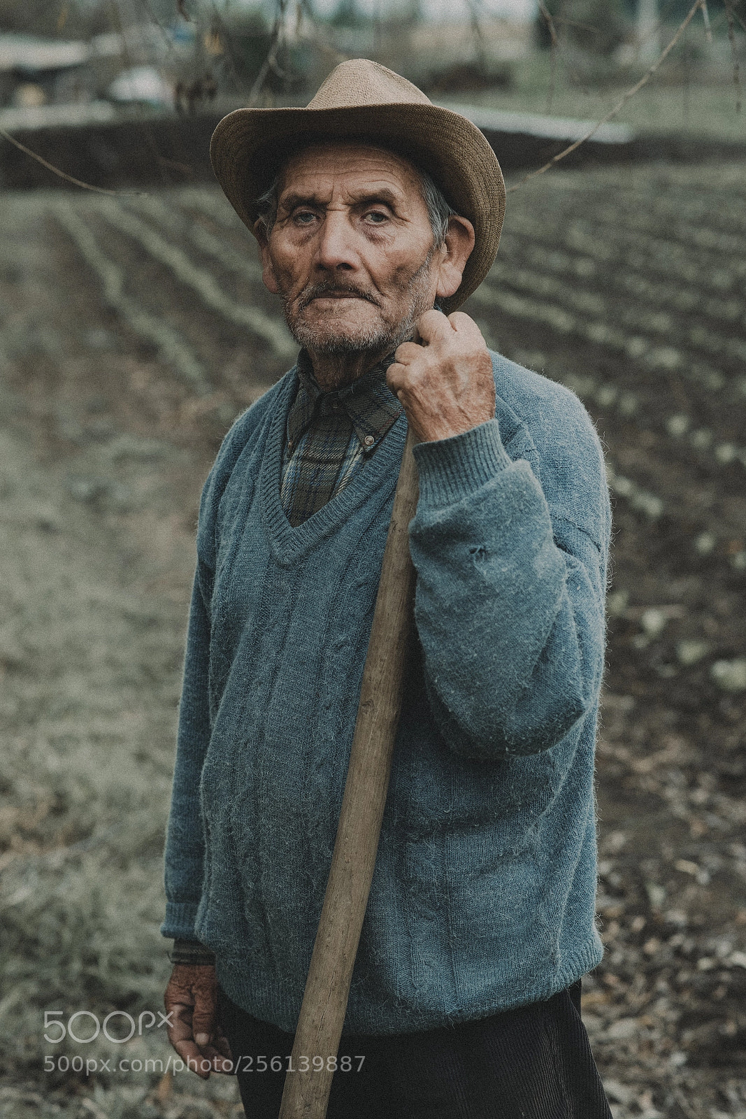Nikon D800E sample photo. Old men photography