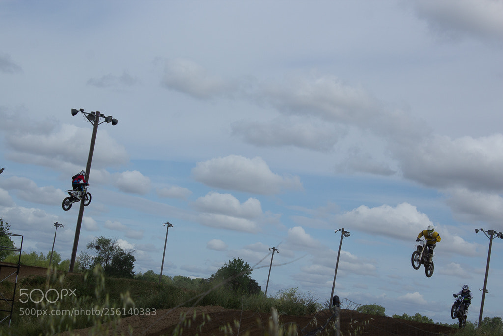 Canon EOS 600D (Rebel EOS T3i / EOS Kiss X5) sample photo. Img photography