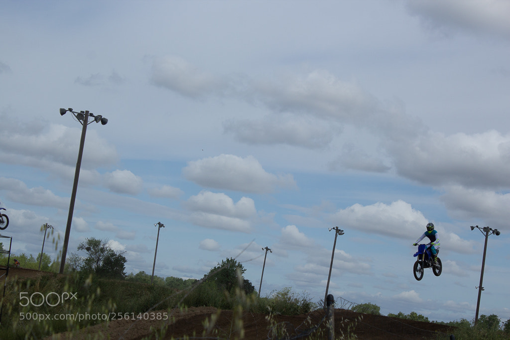 Canon EOS 600D (Rebel EOS T3i / EOS Kiss X5) sample photo. Img photography