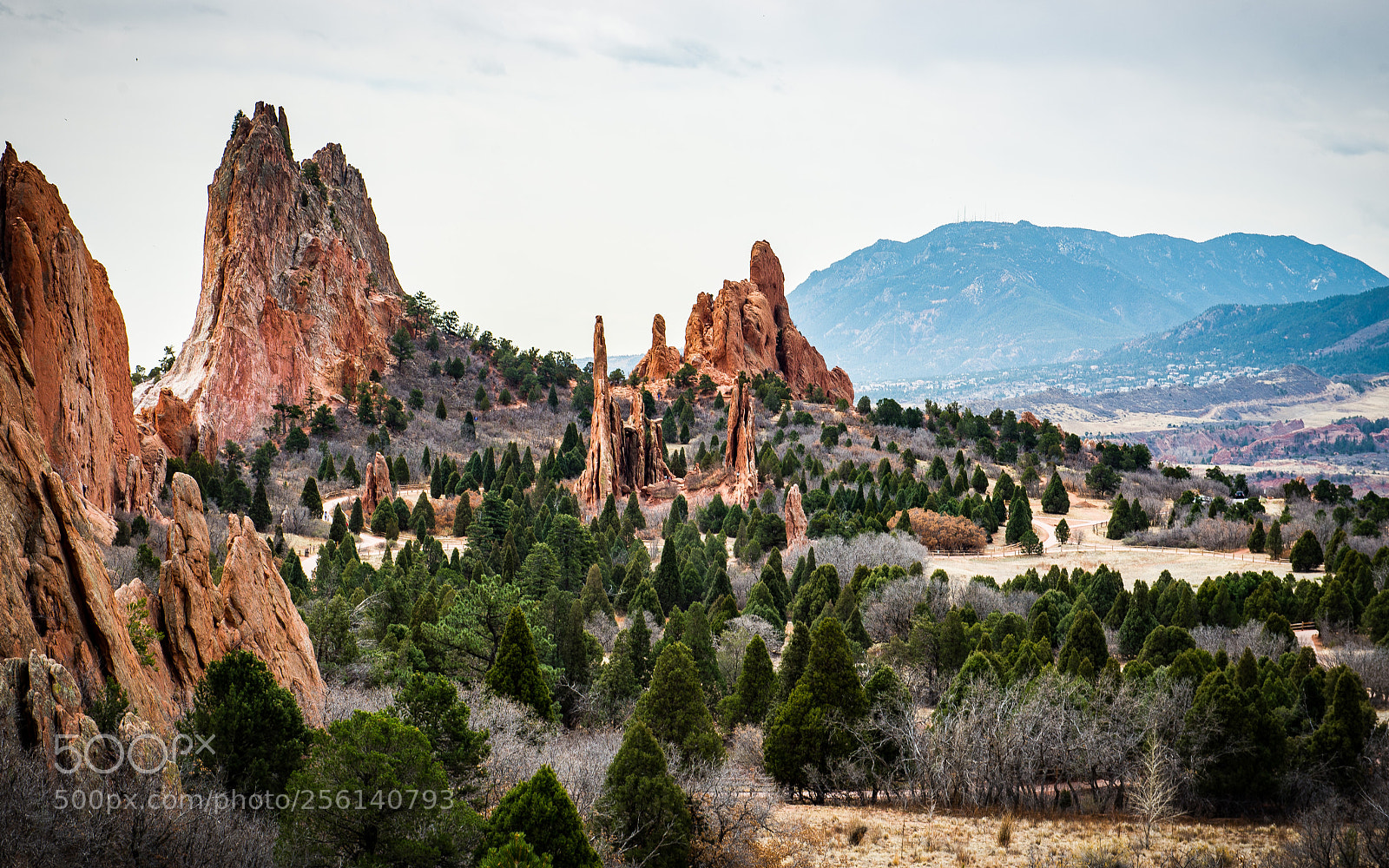 Nikon D600 sample photo. Garden of the gods photography