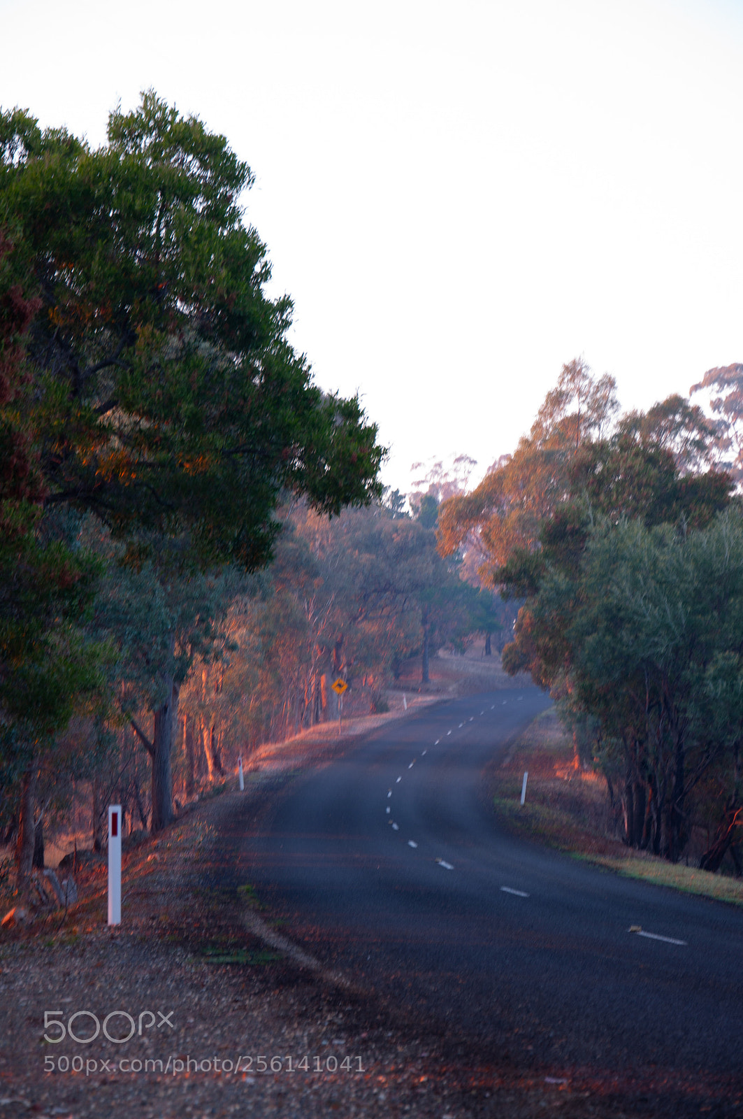 Nikon D90 sample photo. Road to heavens photography