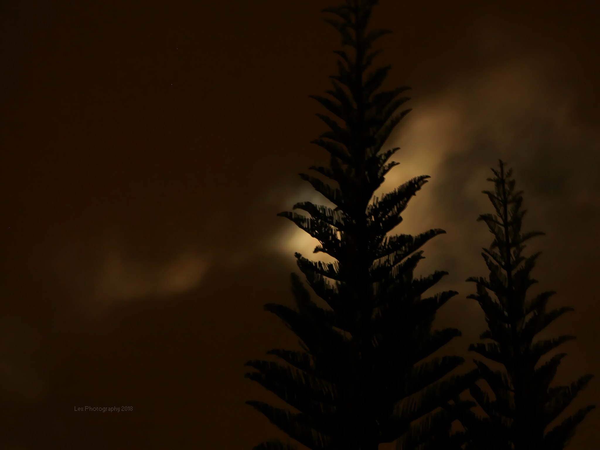 Canon EOS 700D (EOS Rebel T5i / EOS Kiss X7i) sample photo. Moonlight melodies photography