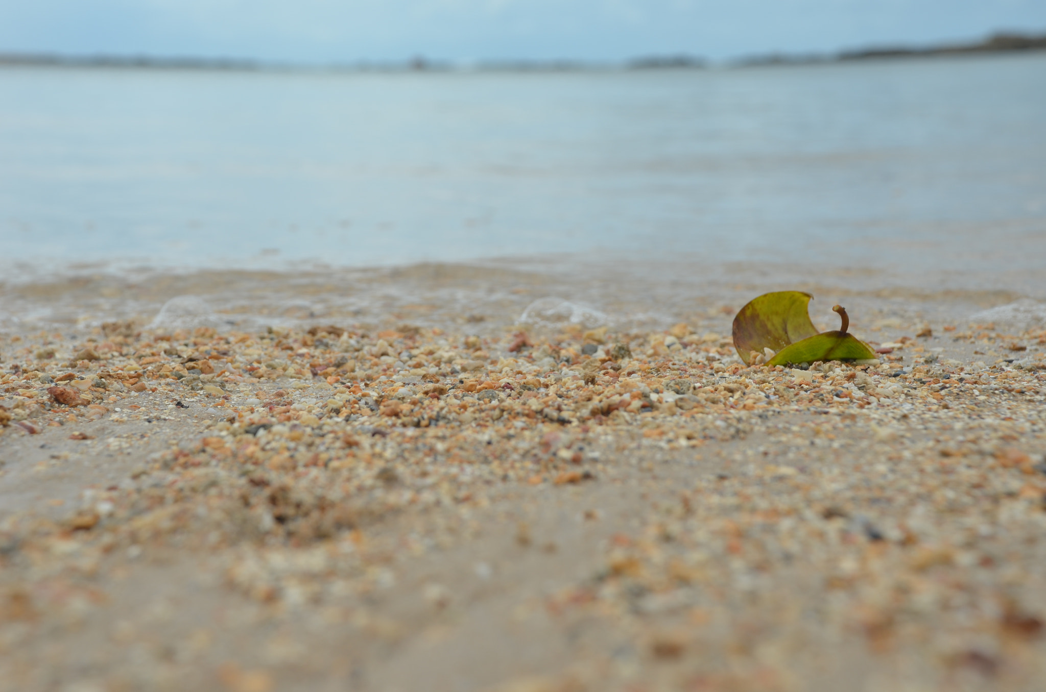 Nikon D5100 sample photo. Winter beach photography