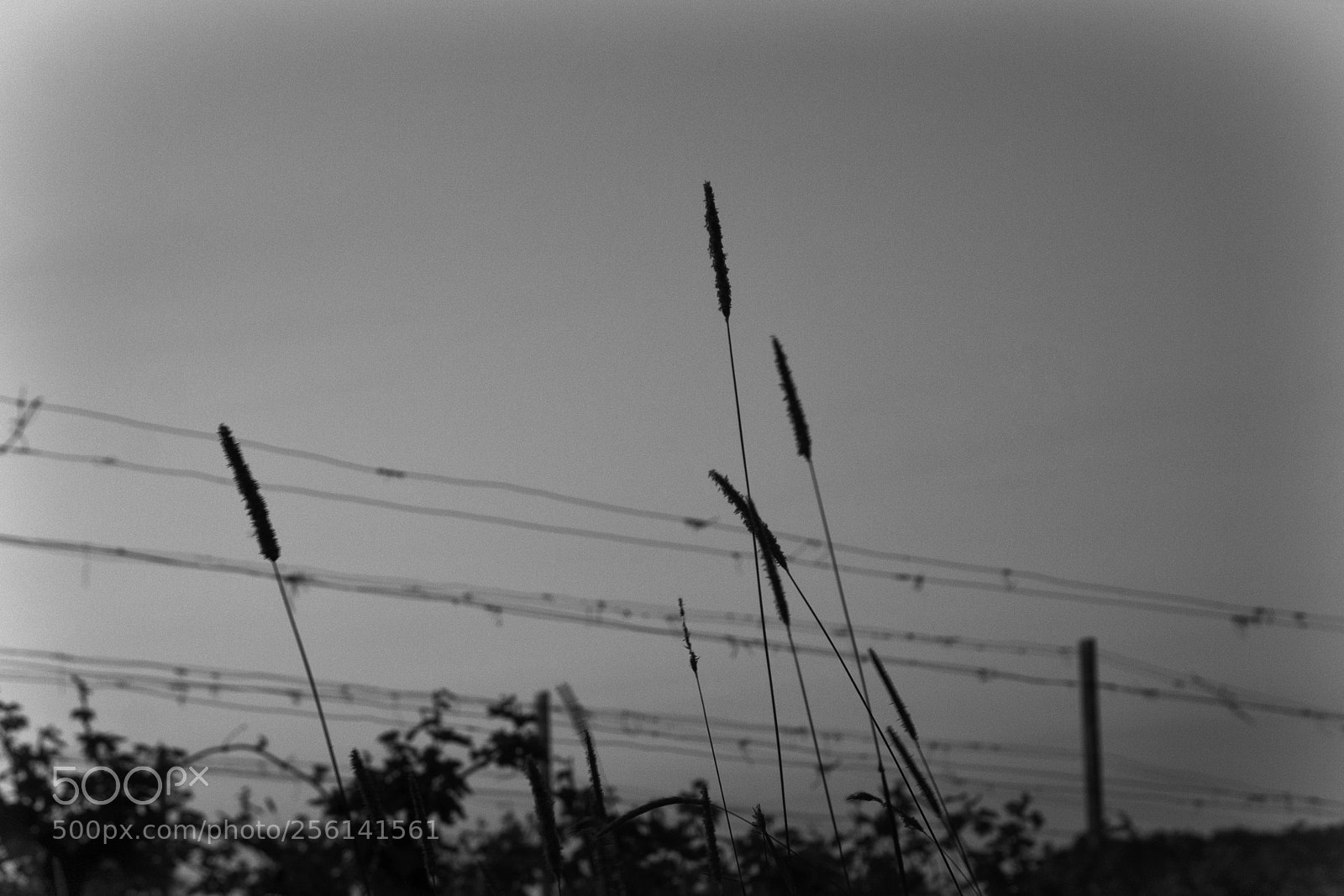 Canon EOS 40D sample photo. Peaceful morning photography