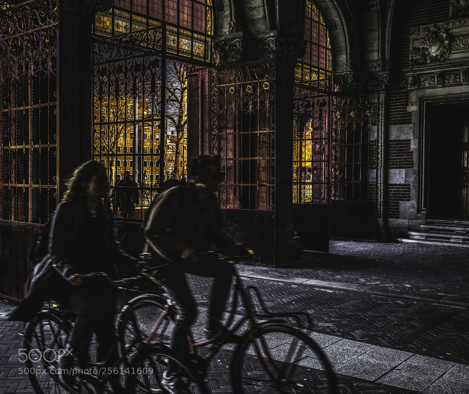 Sony a7R III sample photo. Untitled photography