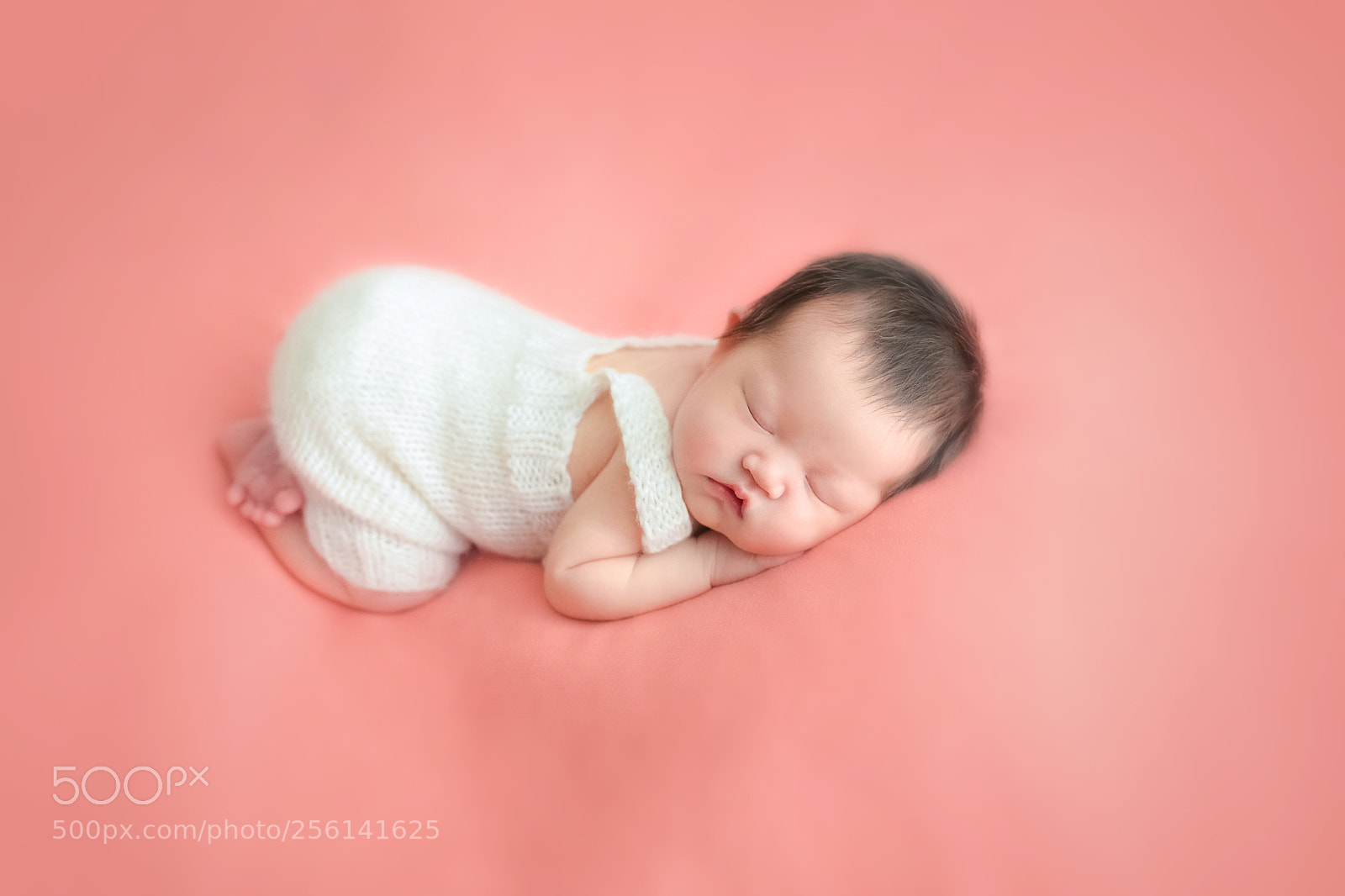 Nikon D610 sample photo. Untitled photography