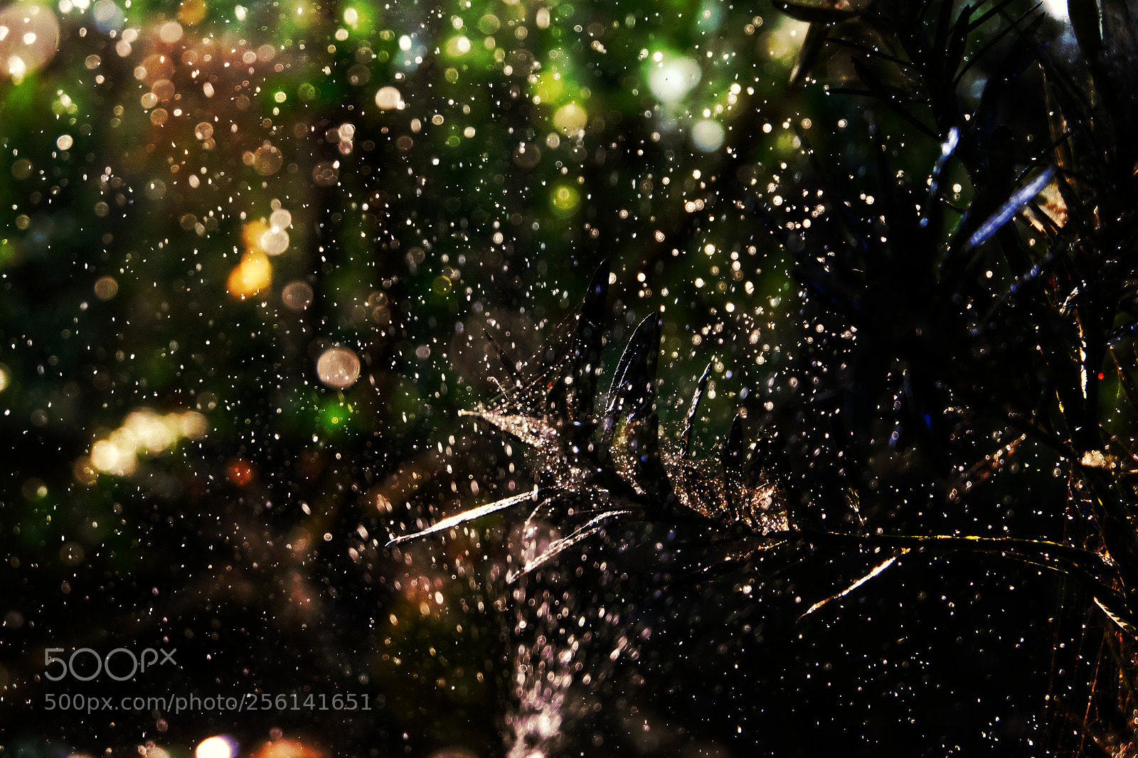 Fujifilm X-T1 sample photo. Untitled photography