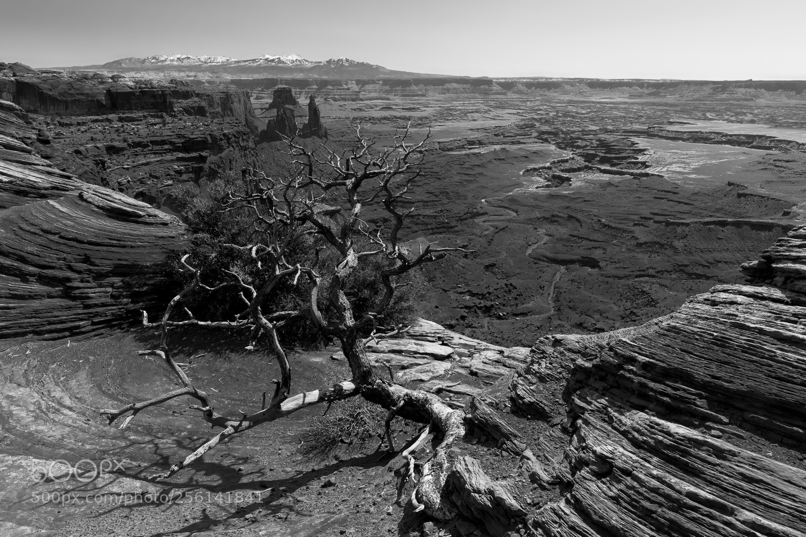 Canon EOS 5DS R sample photo. Mesa arch view point photography