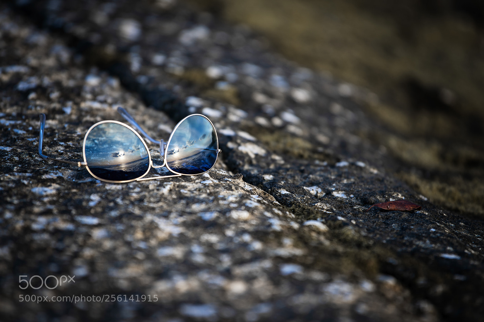 Nikon D850 sample photo. Beachglasses photography