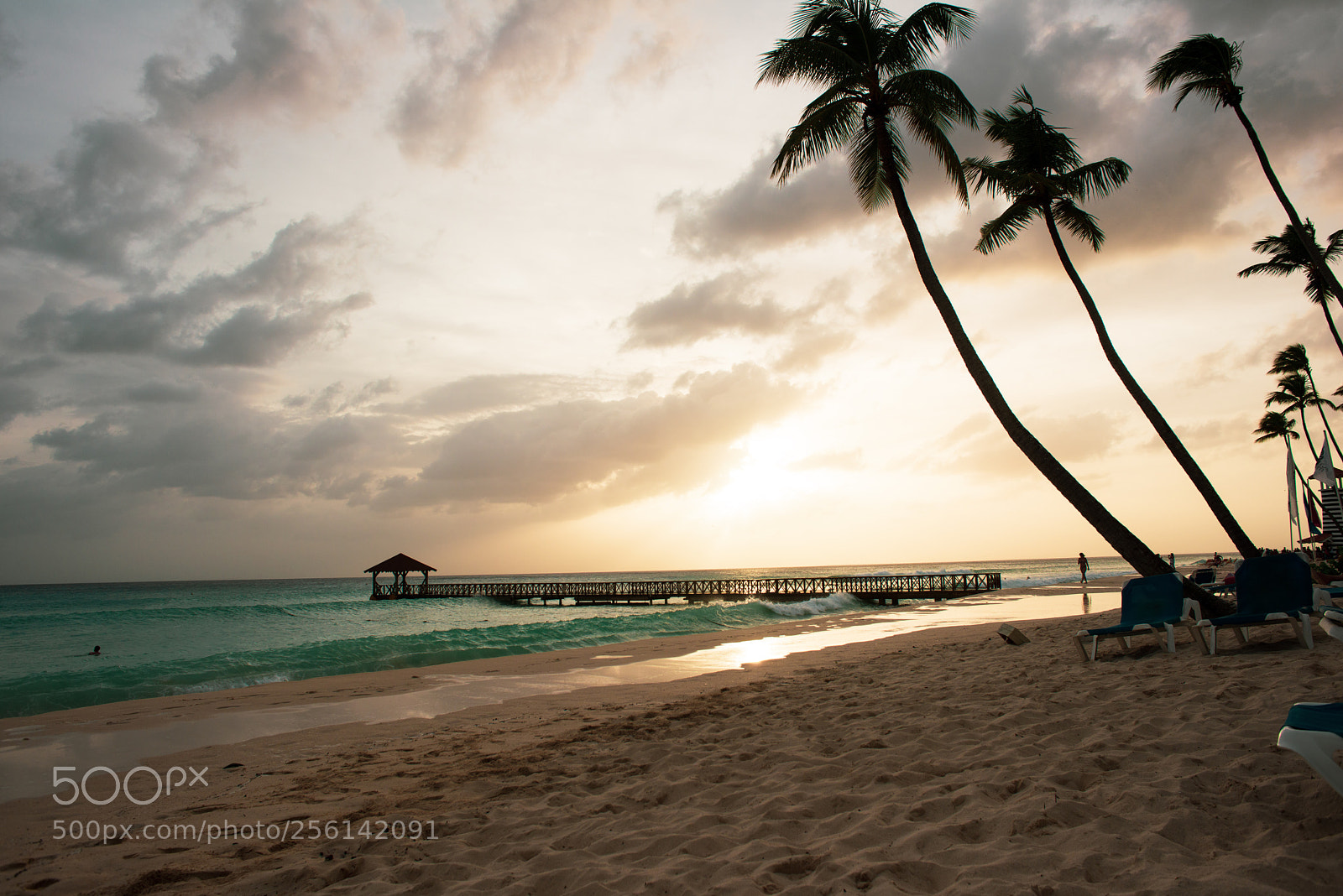 Nikon D800 sample photo. Beach photography