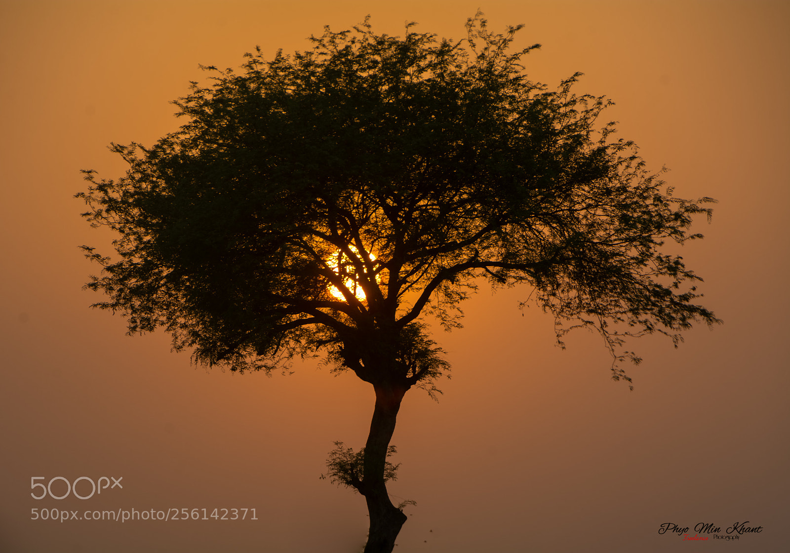 Nikon D7100 sample photo. Alone photography