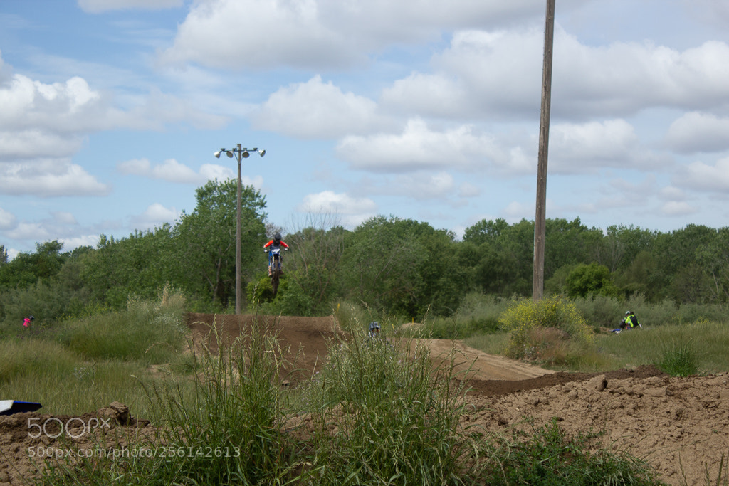 Canon EOS 600D (Rebel EOS T3i / EOS Kiss X5) sample photo. Img photography